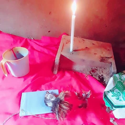 Le Rituel d’amour avec sang menstruel est une expérience qui fait beaucoup déloge chez le plus grand maitre marabout compétent IFA DJOGBE